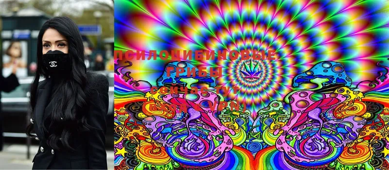 Псилоцибиновые грибы Magic Shrooms  Красавино 